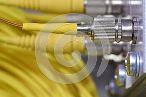 Optic fiber cables on distribution panel