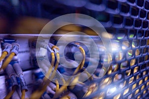 Optical cable close up. Big Optical server.