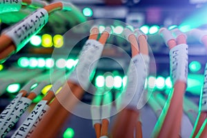 Optical cable close up. Flash lamp.