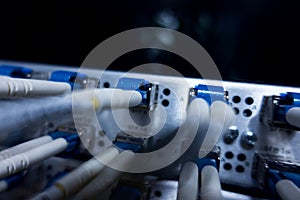 Optical cable close up.