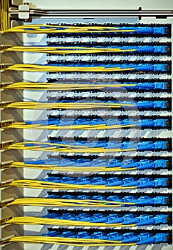 Optical cables connecting to patch panel