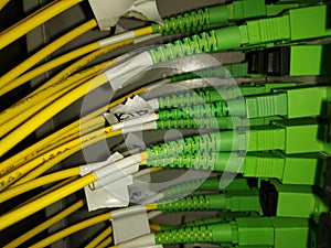 Optical cross with UPC patchcords photo