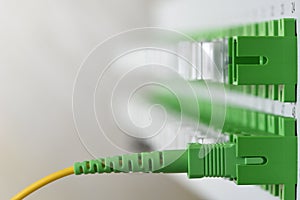 Optical distribution panel with connected patch cord cable