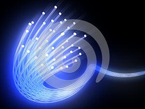 Optical fiber photo