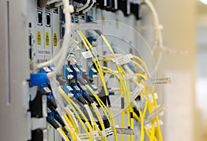 The optical fiber connect to card equipment are used in telecommunication.select focus