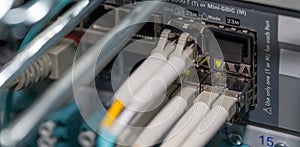 Optical fiber connection on the cloud network port server photo