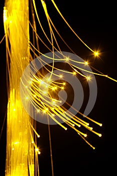 Optical fibers with yellow light