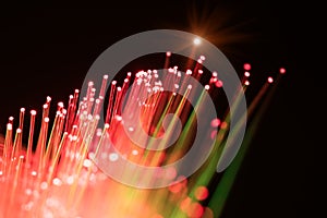 Optical fibres photo