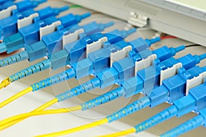 Optical network cables and servers