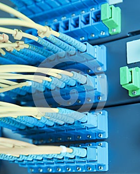 Optical network cables and servers