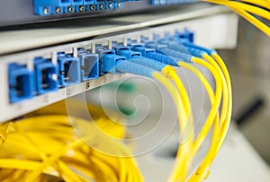 Optical network cables and servers