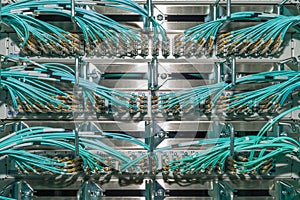 Optical Patch panel in a data center fÃÂ¼r Cloud Services photo