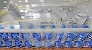 Optical patch panels