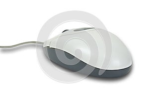 Optical wheel mouse over white