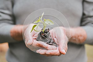 Optimise your health, optimise your health. a group of unrecognisable senior man holding a plant growing out of soil.