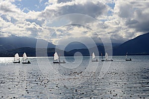 Optimist os sailing dinghy on Annecy lake