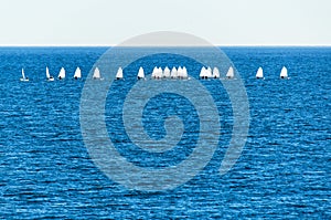 Optimist sailboat during a training