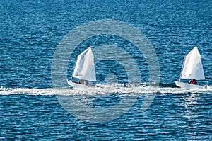 Optimist sailboat during a training
