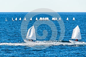 Optimist sailboat during a training