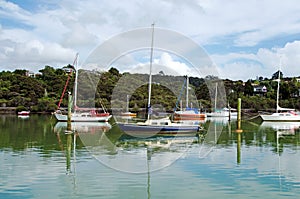 Opua marina at the Bay of Islands New Zealand