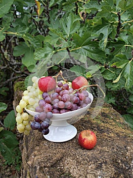 Opulence of autumn fruits in an earthenware bowl