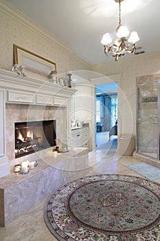 Opulent bathroom