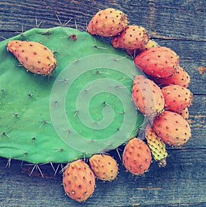 Prickly and delicious. Opuntia cactus with large flat pads and red thorny edible fruits. Cactaceae. Prickly pears fruit
