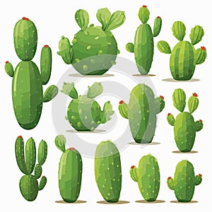 Opuntia Cactus set vector flat minimalistic isolated illustration