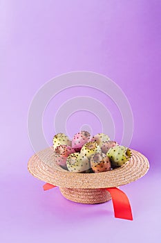 Opuntia fruit in a straw hat on a trendy purple background. Prickly pear or Fichi Dindia Salento, Puglia. Minimalism, pop art photo