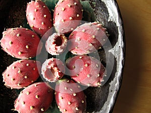 Opuntia Tuna 3