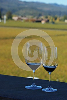 Opus one winery wedding vineyard