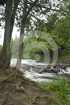 Oquecoc Falls in Michigan's Lower Peninsula in summer