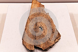 Chinese ancient oracle words in bone