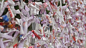 Oracles at Hodosan shrine in Saitama daytime