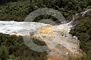 Orakei Korako hidden geothermal valley - Emerald terrace, New Zealand: View on colorful rainbow sinter terrace