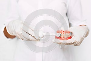 Oral hygiene. Close up hand dentists are demonstrating how to brush their teeth correctly. Dental prosthesis in the hands of the