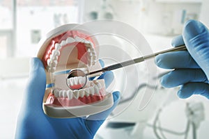 Oral hygiene dental health - dentist with teeth model and mirror in hands