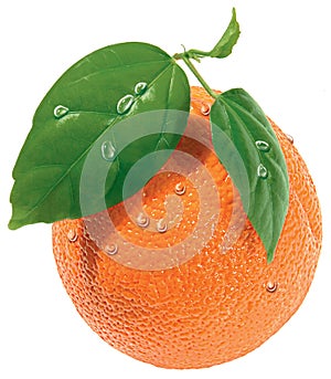 Naranja 