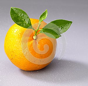 Orange