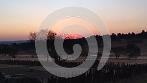 Orange African winter sunset over the silhouette of a large tree and farm landscape