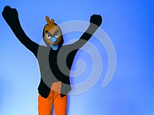 Orange angry bird boxing winner