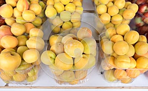 Orange apricots for sale at local city market