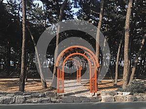 Orange arch in the park of Pohang city