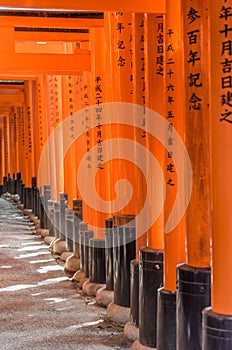 Orange Arches of Inari Shrine