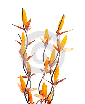 Orange artificial flowers on a white background, isolate