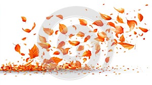 Orange autumn leaves falling and swirling on white background