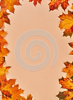 Orange autumn leaves frame