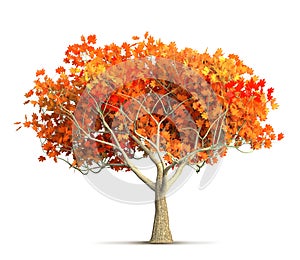 An orange autumn maple tree isolated 3D illustration