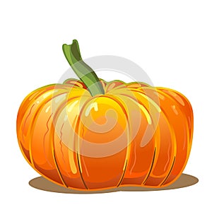 Orange autumn pumpkin, a traditional symbol of Thanksgiving and Halloween night, as well as a tasty