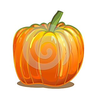 Orange autumn pumpkin, a traditional symbol of Thanksgiving and Halloween night, as well as a tasty and healthy vegetable